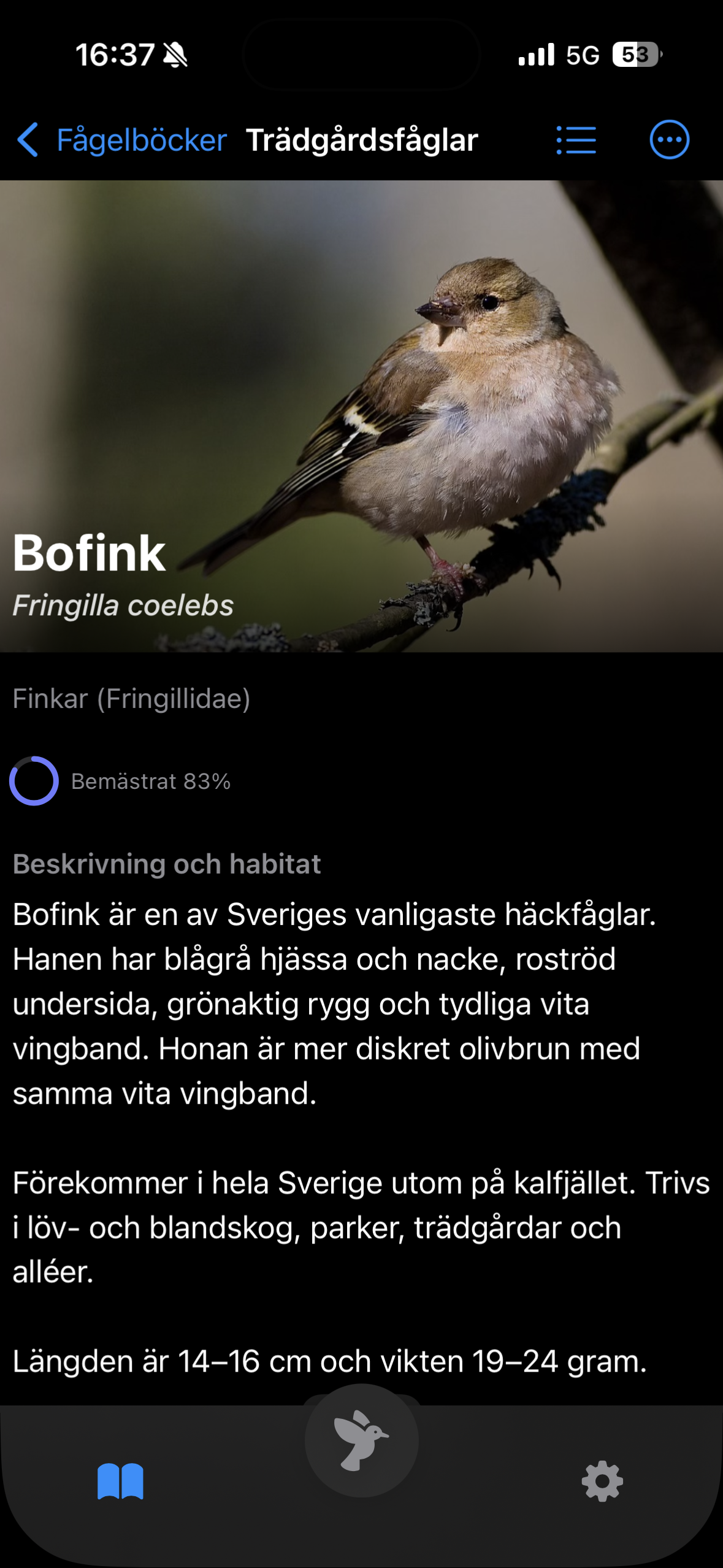 Detailed view of a bird with photo and facts