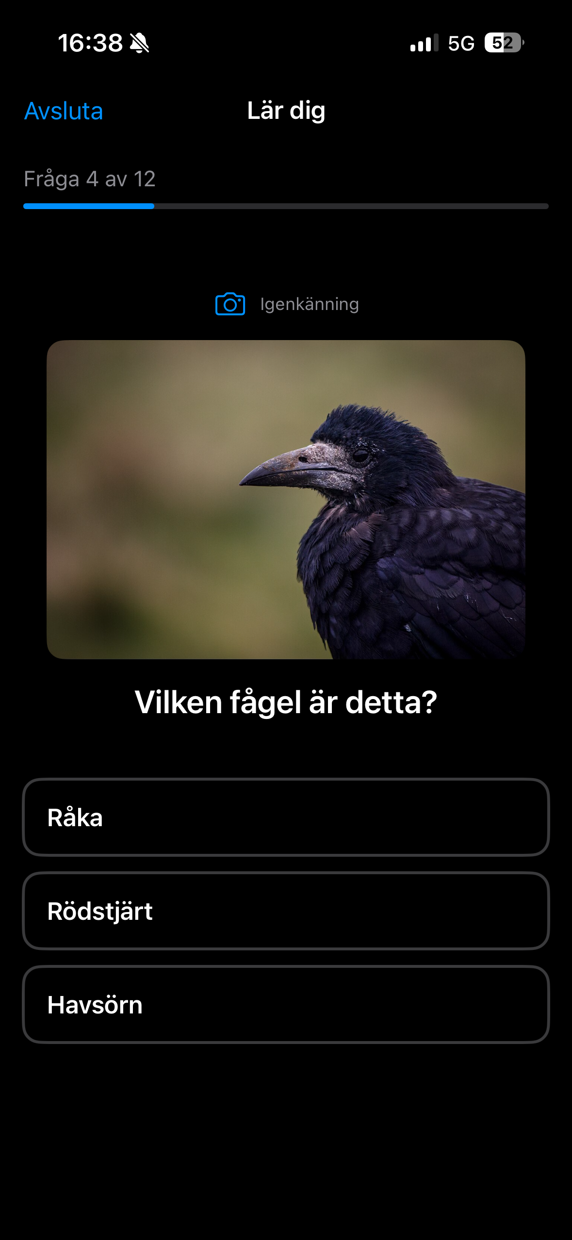 Quiz question asking to identify a bird